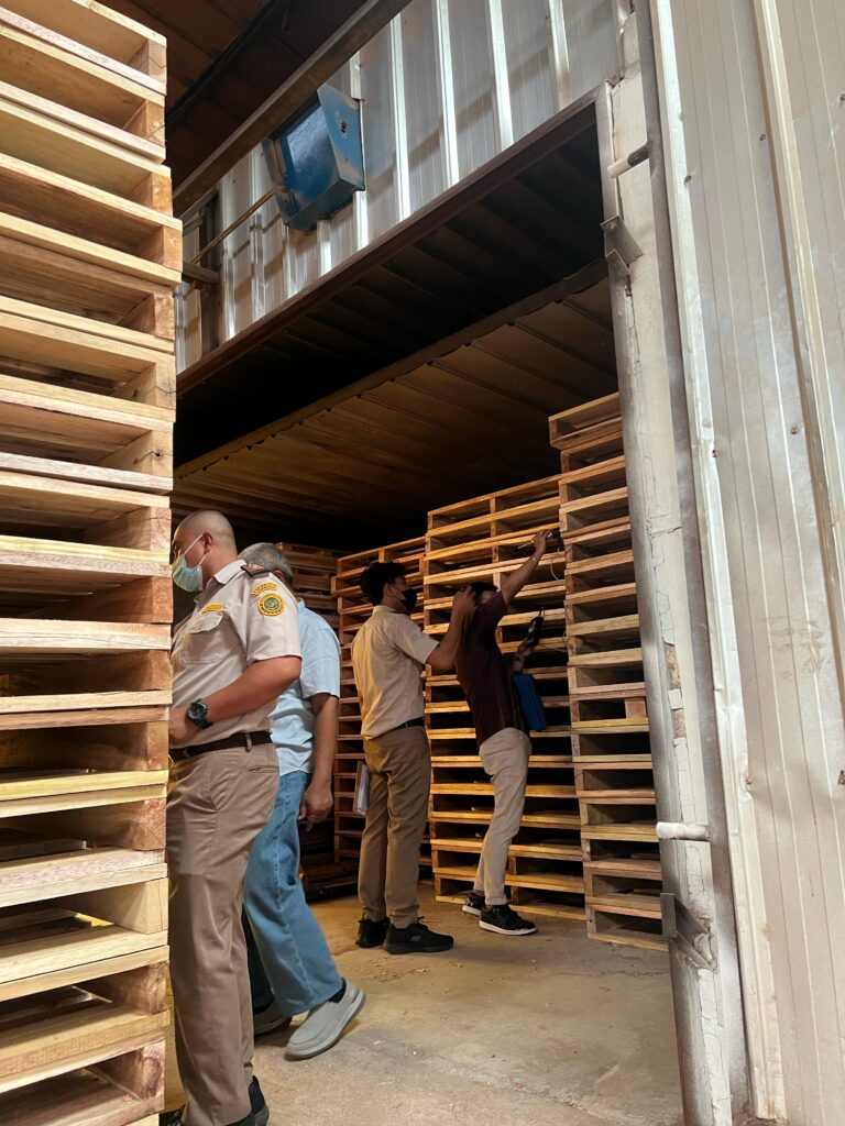 petugas memeriksa pallet kayu sebelum pengiriman - standar ISPM 15 | sertifikasi kemasan kayu ISPM 15